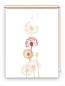 Preview: Rollo Dandelions mixed Pfeffer 2 , Rollo, Motivrollo, Rollo mit Druck, Fotorollo, bedrucktes Rollo, Fensterrollo,verdunkelndes Rollo, Sonnenschutz Rollo